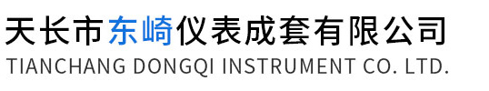 天長市東崎儀表成套有限公司